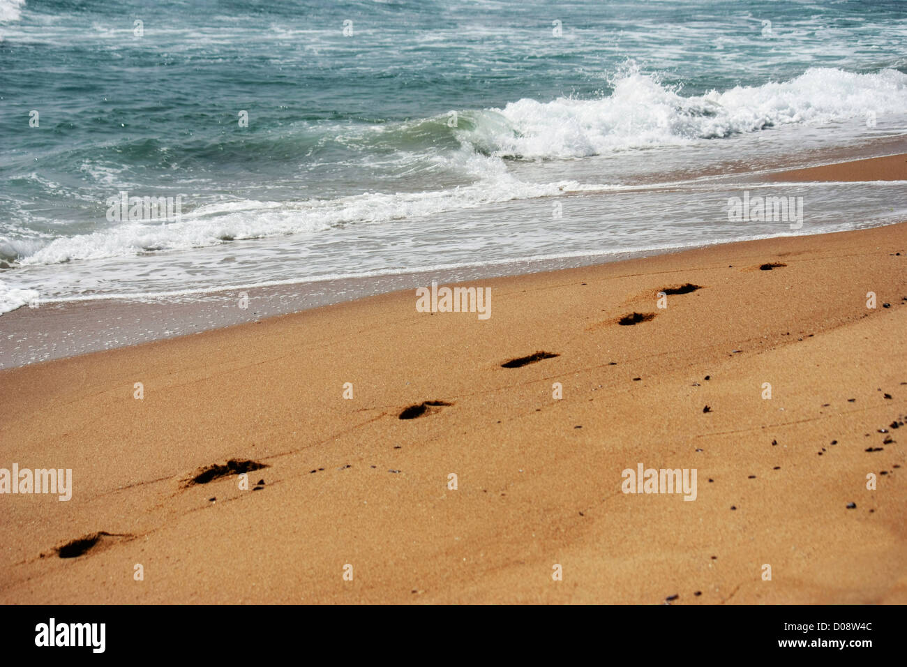 Beach view -  footsteps sand impressions Stock Photo