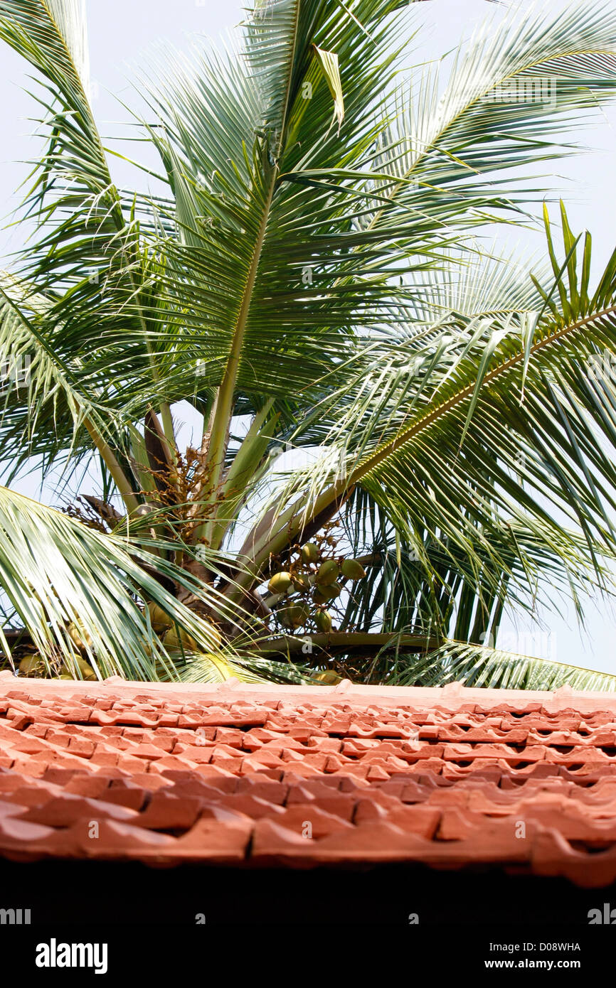 A  typical Kerala model traditional house roof thatched with sun dried tiles Stock Photo