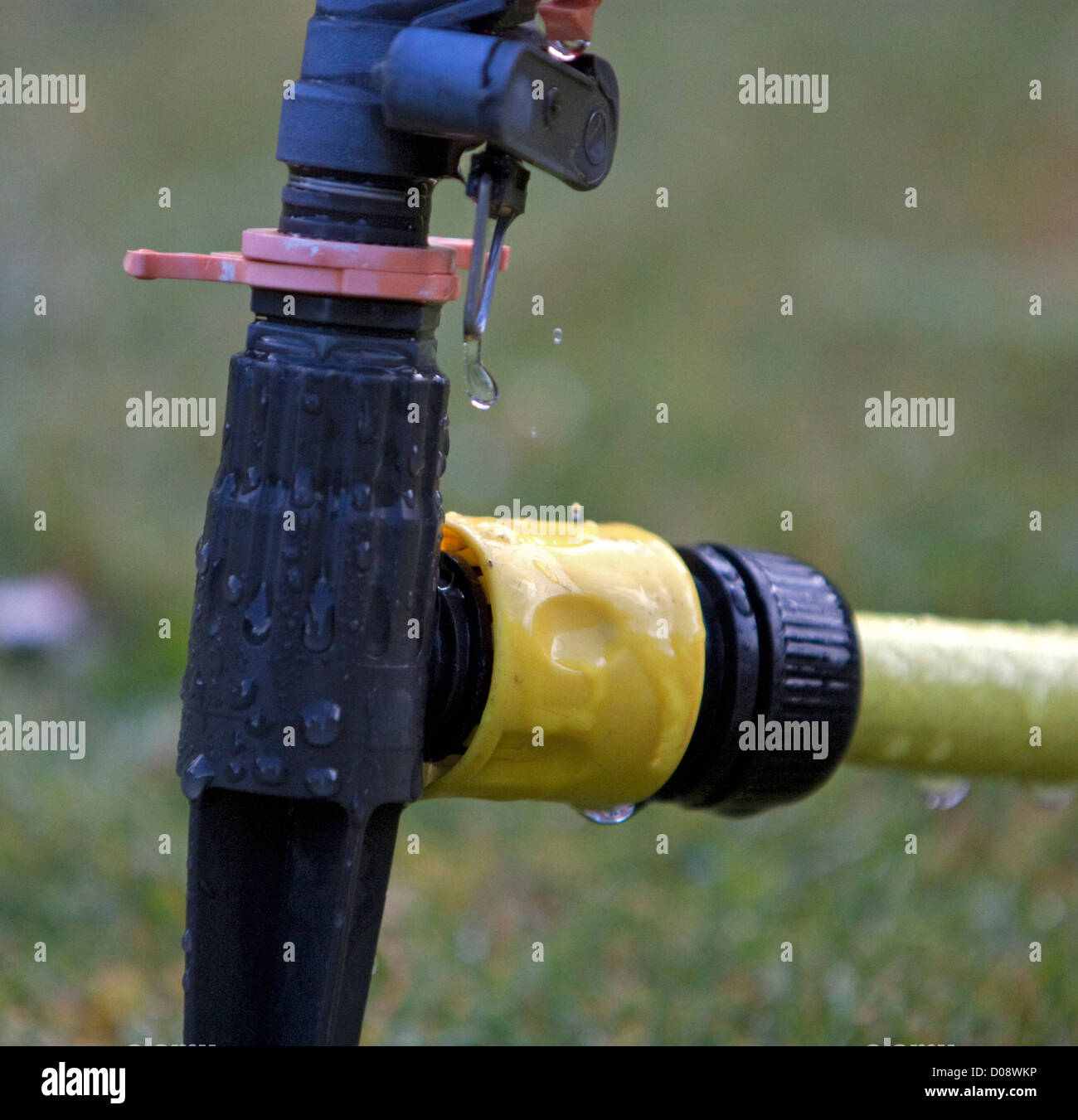 Hosing ban hires stock photography and images Alamy