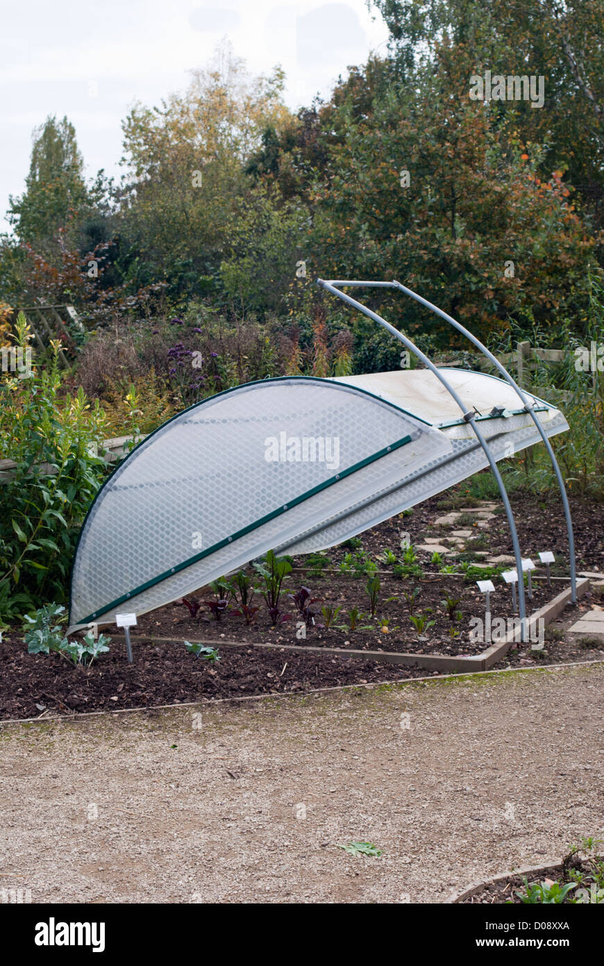 A large plastic covered cold frame Stock Photo