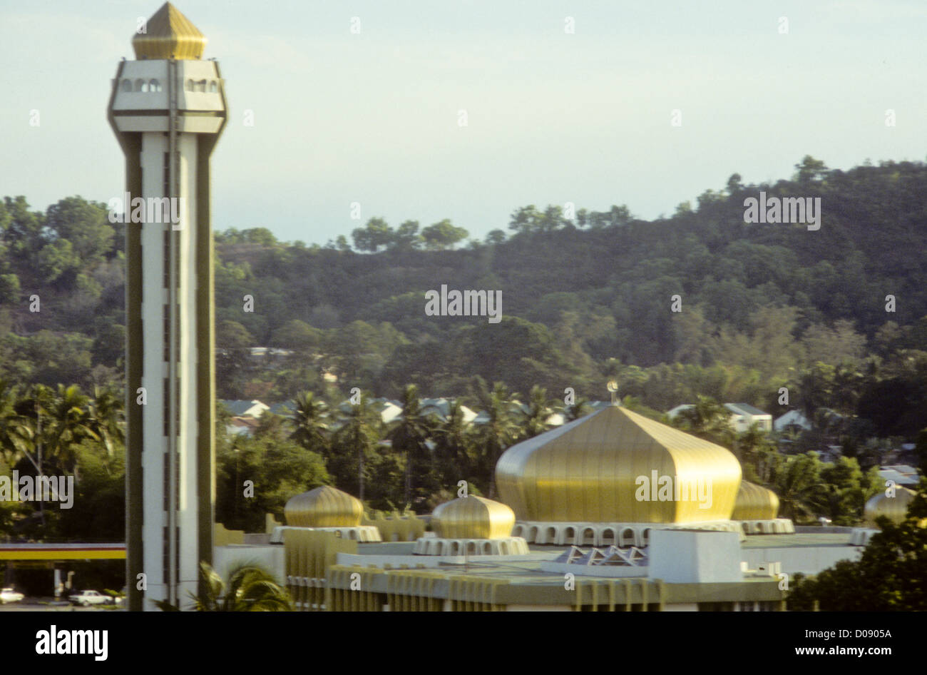 Fishing Boats,Fish,Vegetable Markets,Beaches,Sunsets,Coconut