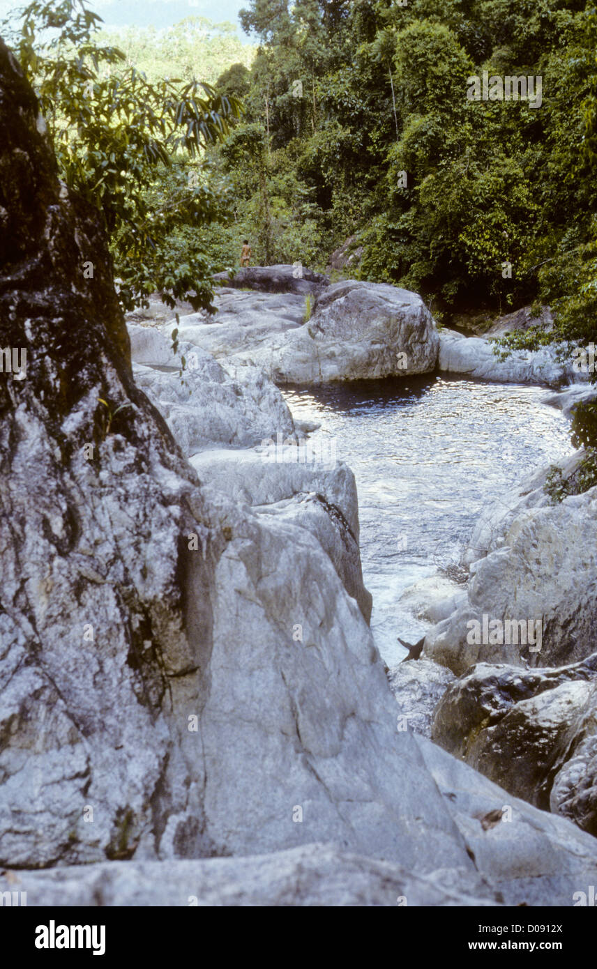 Fishing Boats,Fish,Vegetable Markets,Beaches,Sunsets,Coconut