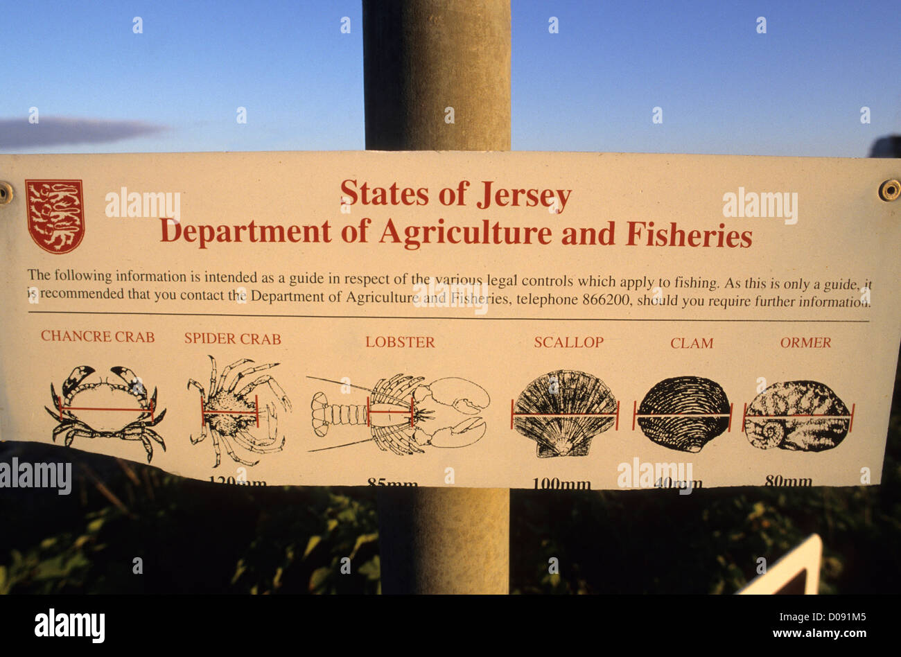 Channel islands of jersey hi-res stock photography and images - Alamy