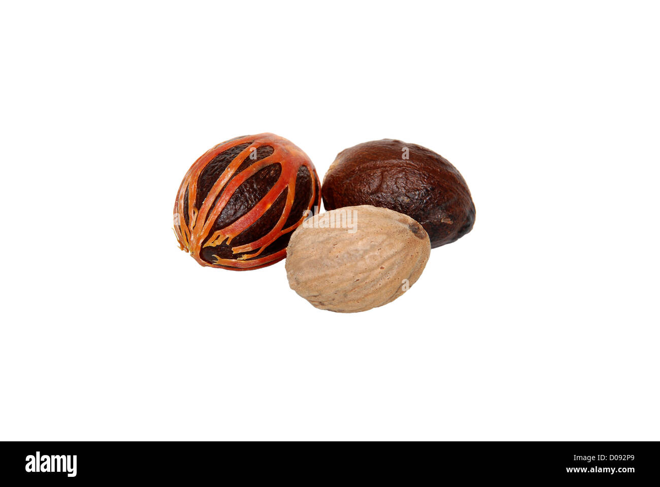 Three whole nutmegs covered in mace, in case and seed, isolated on a