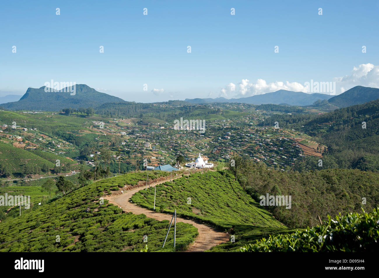 Pagoda and tea bushes in the mountains of Nuwara Eliya Sri Lanka Stock Photo