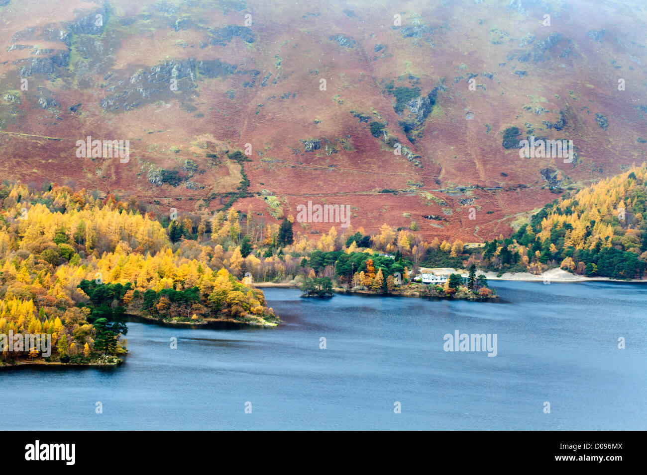 Autumn Larch Trees on the Derwentwater Shore below Catbells from Surprise View near Grange Cumbria England Stock Photo