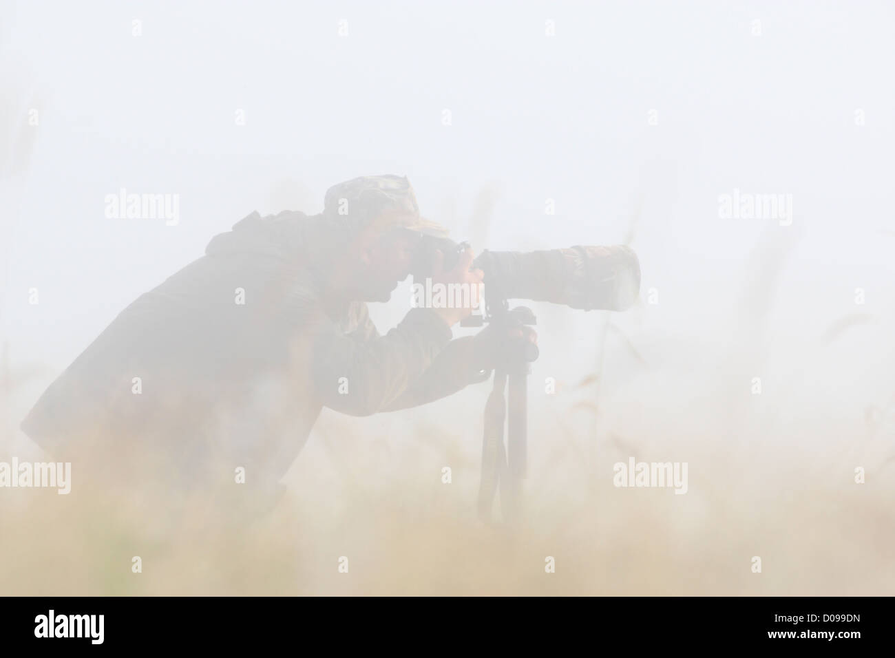 Wildlife photographer taking a photo in thick fog. Stock Photo
