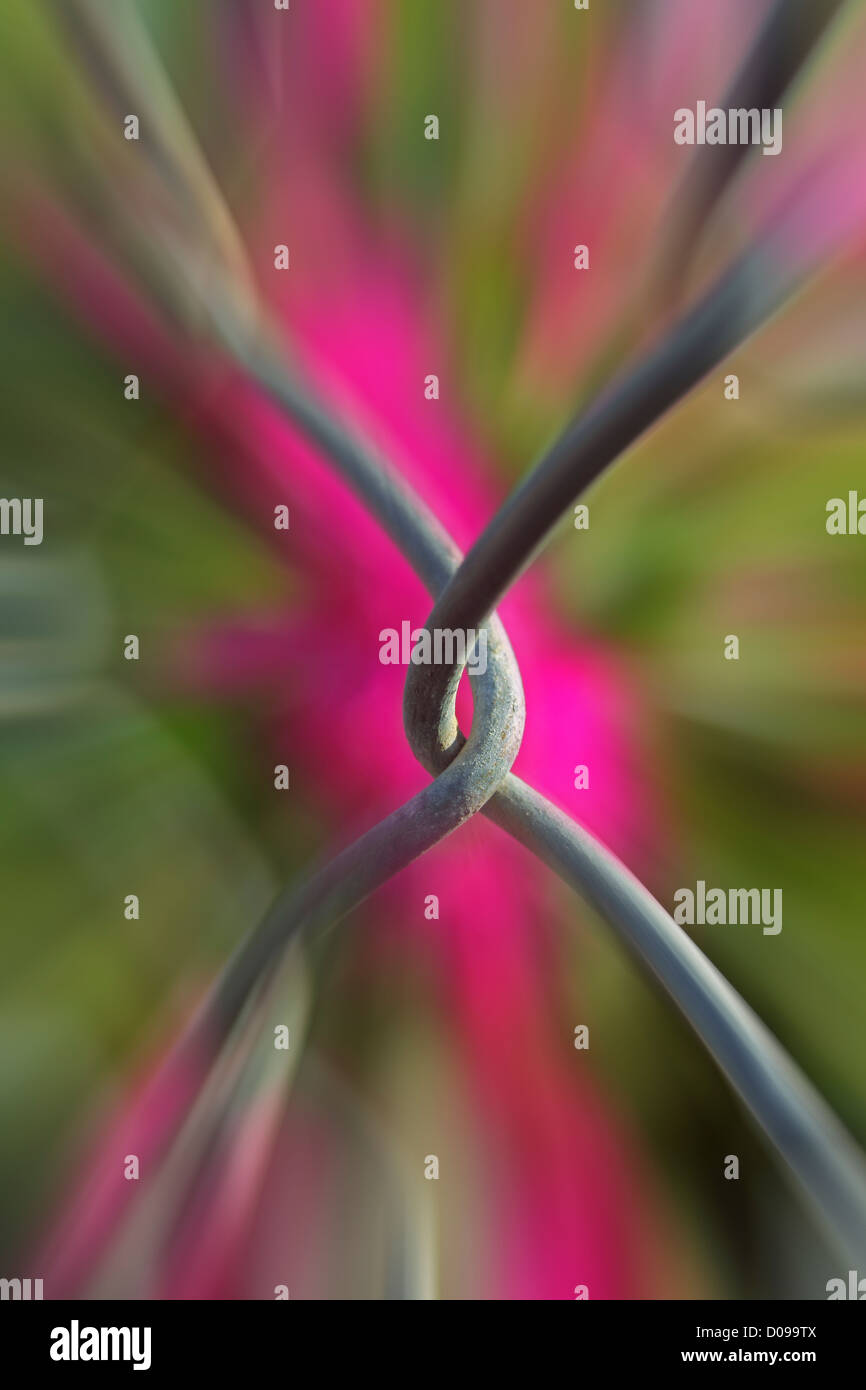 Metal Net Partition Wire fence Stock Photo - Alamy