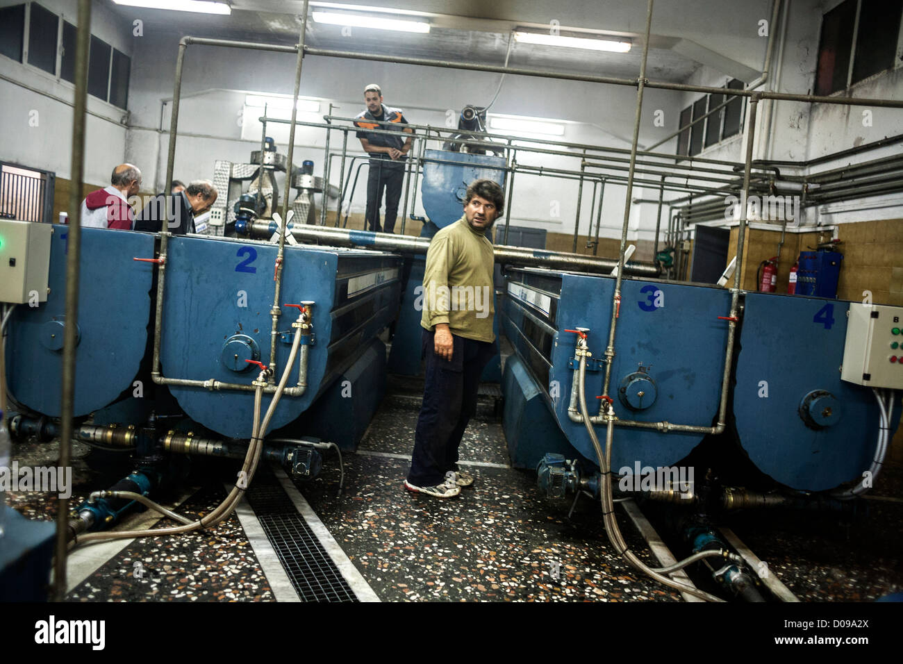 Olive oil producer sees the production process of his own olive oil. Greece Stock Photo