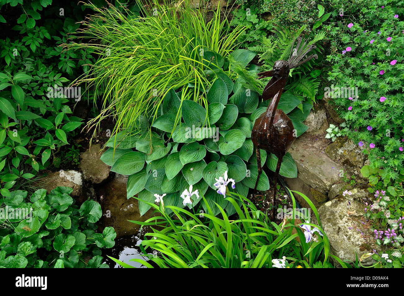 Pleasure garden, a basin with aquatic plants, hosta and decoration with a bird in metal. Stock Photo