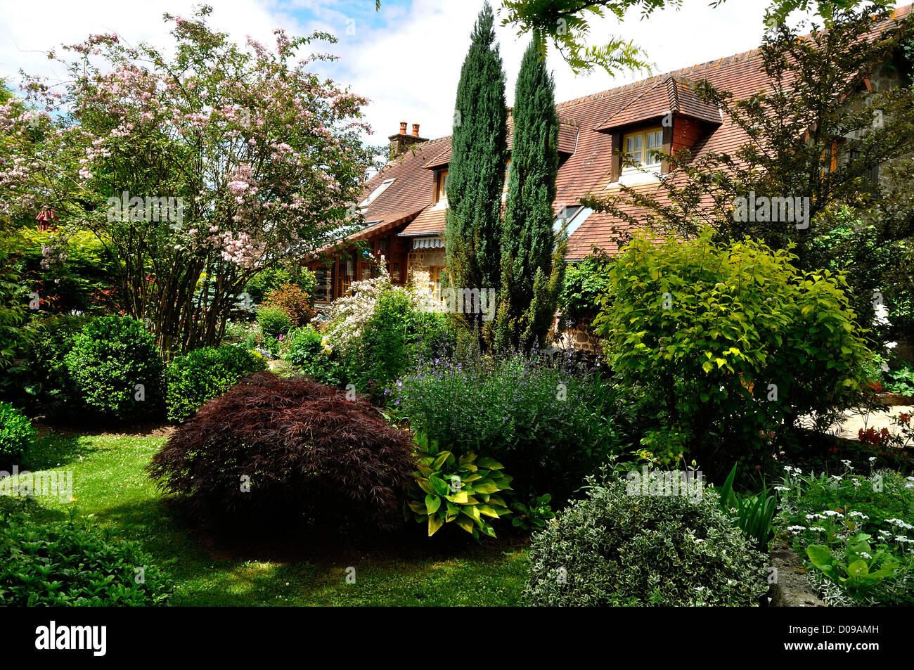 Pleasure garden with Acer palmatum, hosta, boxwood, conifers, ... Stock Photo