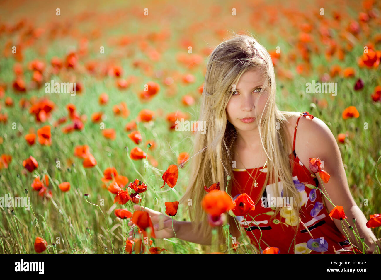 Girl in poppy field Stock Photo
