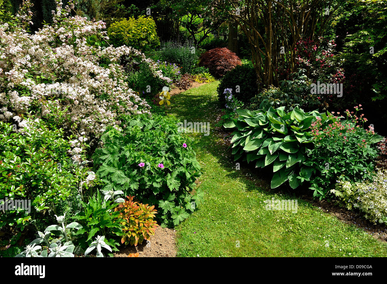 Pleasure garden, path of the garden edged by bushes and various plants (Hosta, ...). Stock Photo