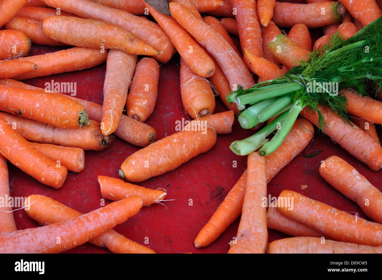 Carrots and dill for sale at grocery store. Vegetables background Stock Photo Alamy