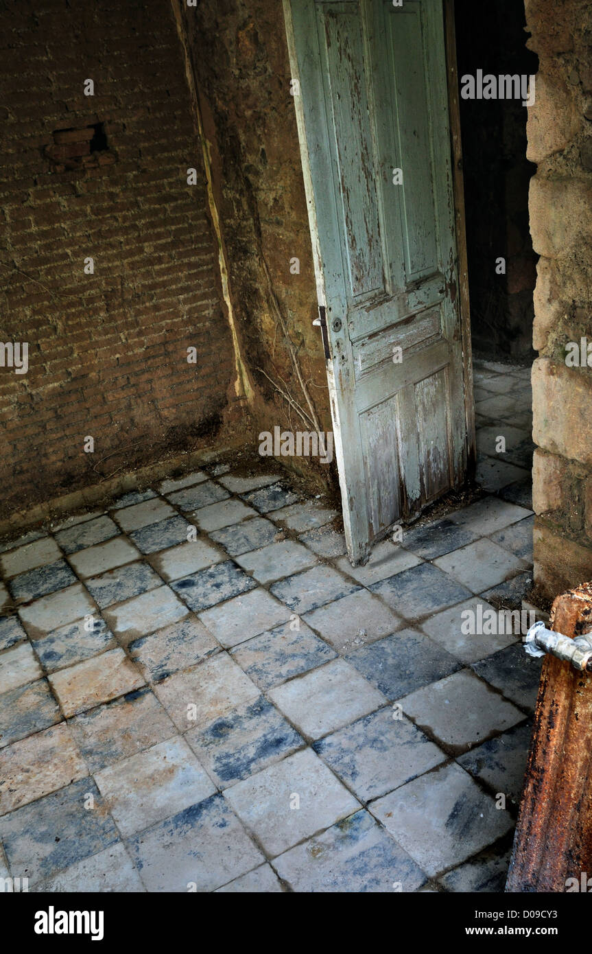 Abandoned house interior. Decayed room door with tiled floor and roots growing on crumbling brick wall. Stock Photo