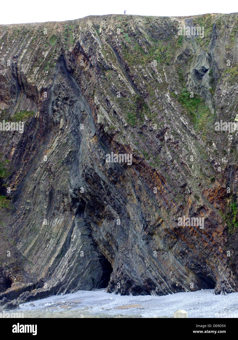 A view of the dramatic cliffs at Warren Cliff, Hartland Quay, Devon, UK