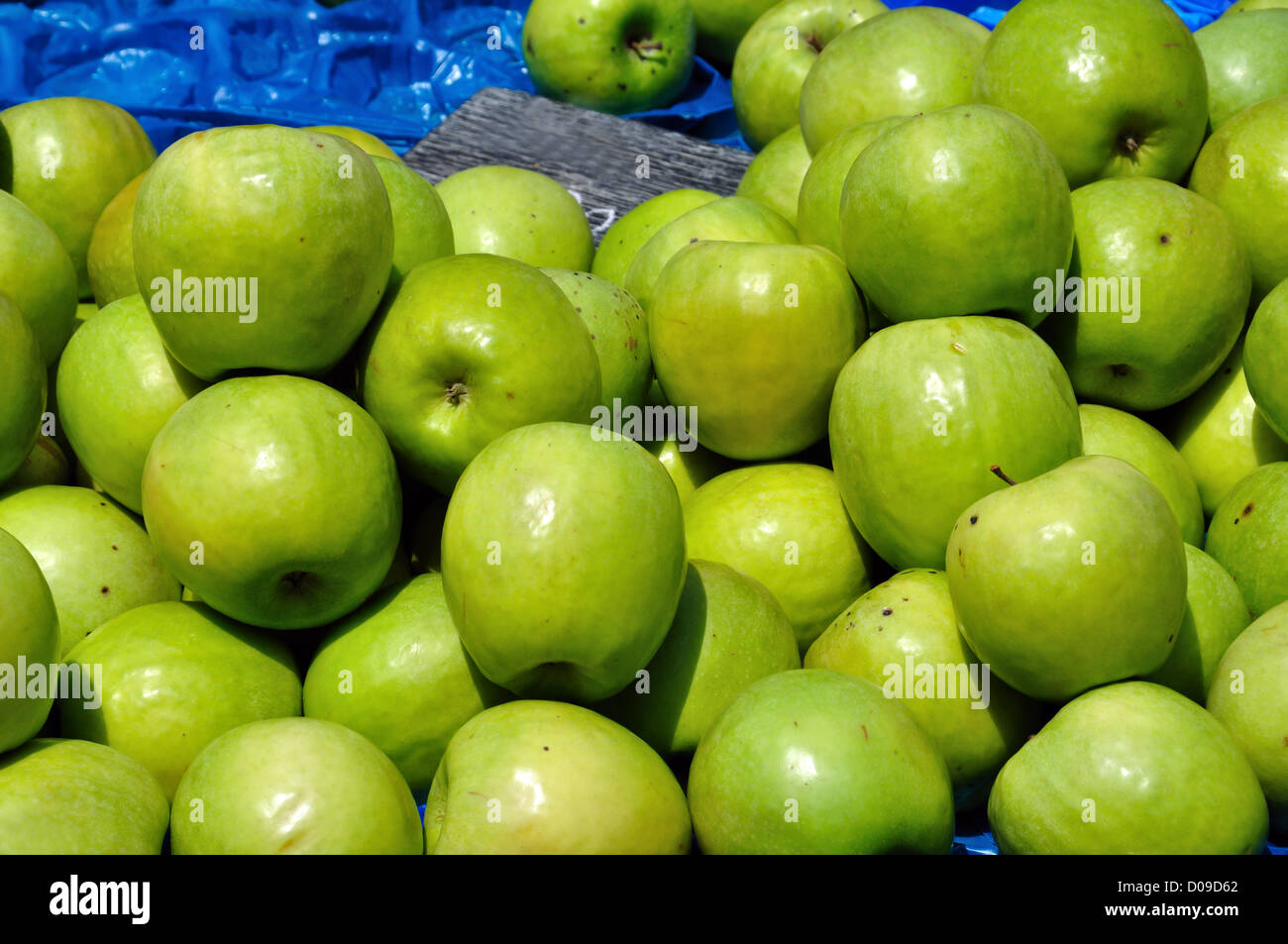 Green apples for sale at grocery store. Fruit background Stock Photo