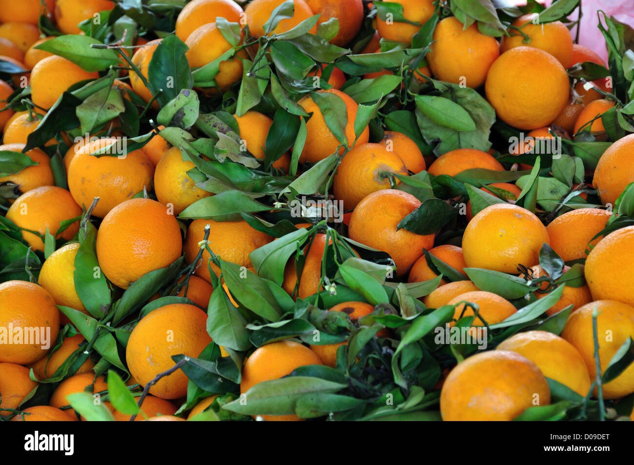 Fresh oranges for sale at grocery store. Fruit background Stock Photo