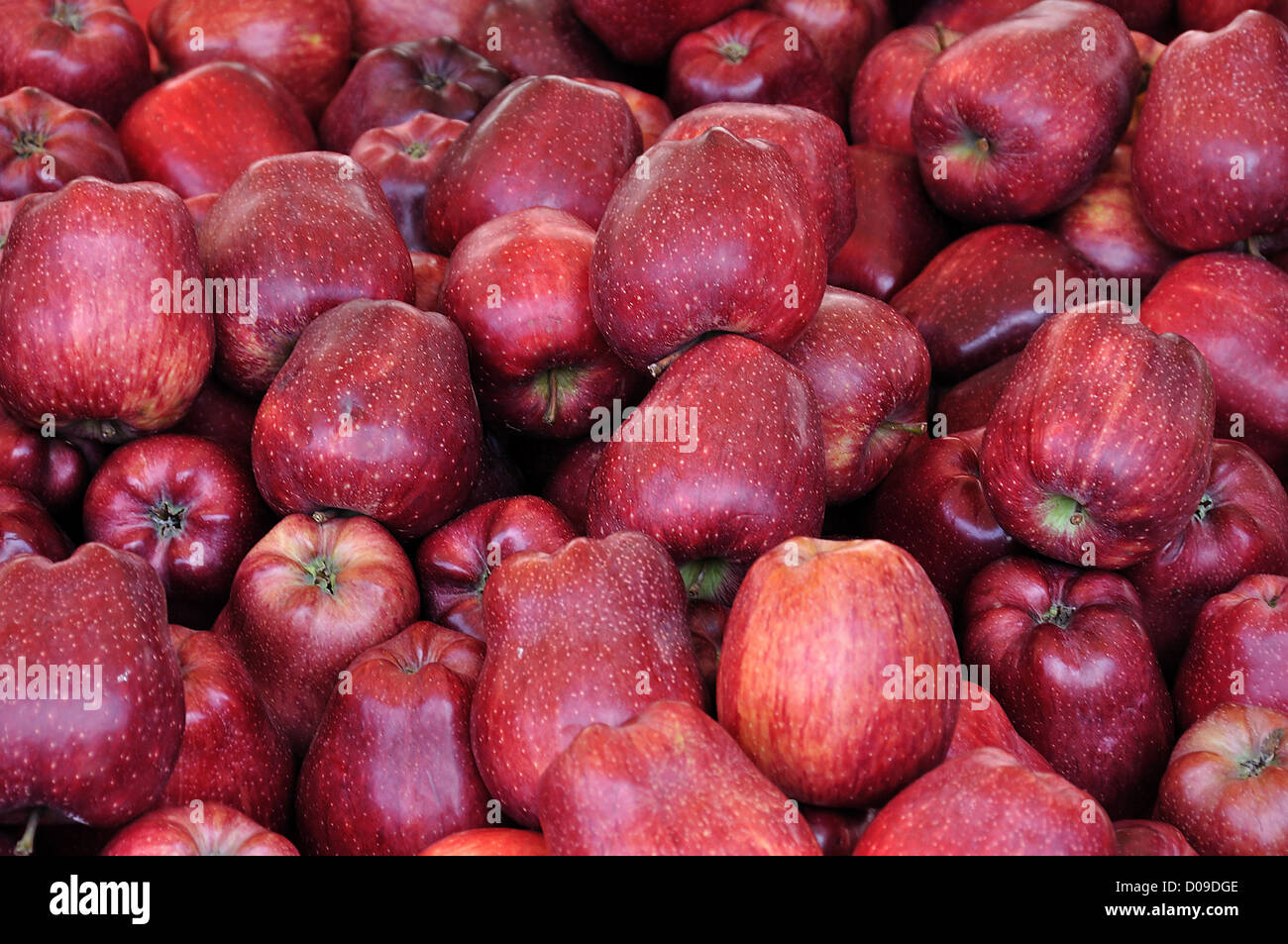 Red apples for sale at grocery store. Fruit background Stock Photo Alamy