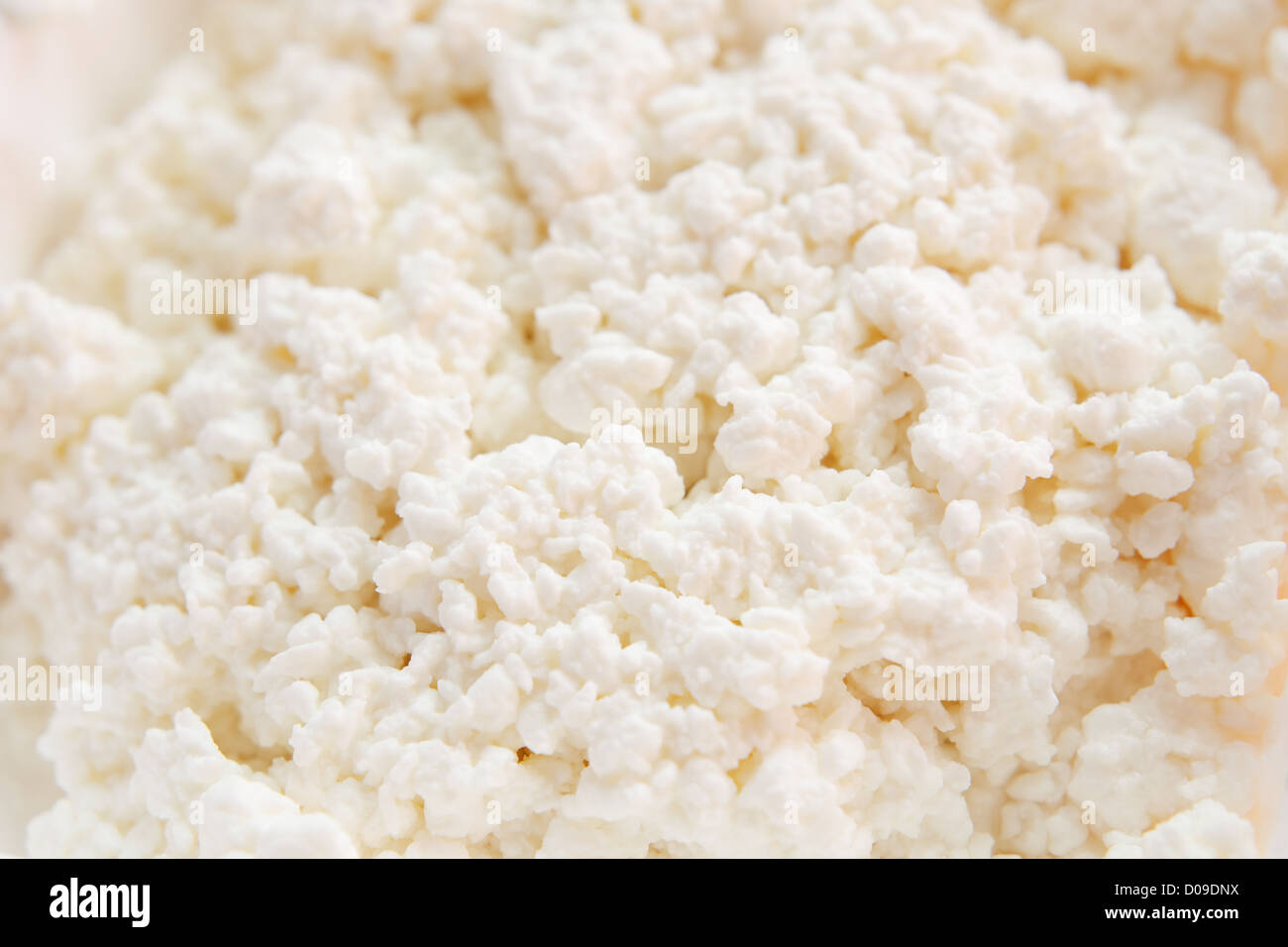 Cottage cheese Stock Photo