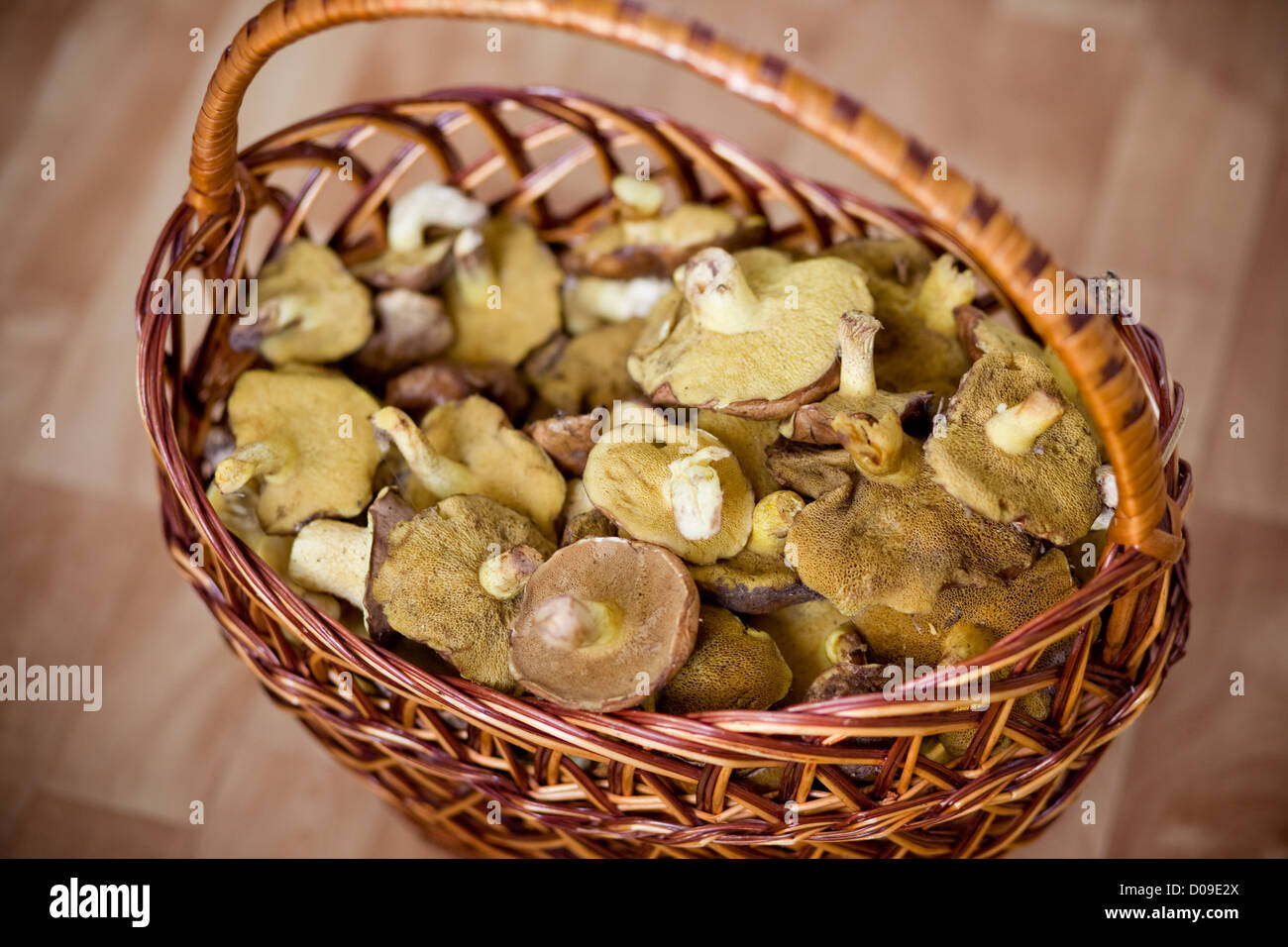 Mushrooms in basket Stock Photo
