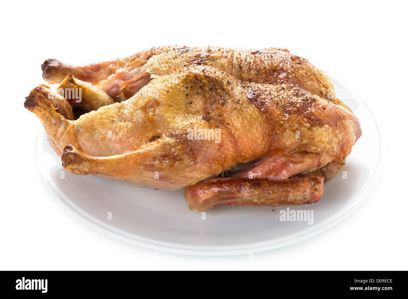 Gressingham duck hires stock photography and images Alamy