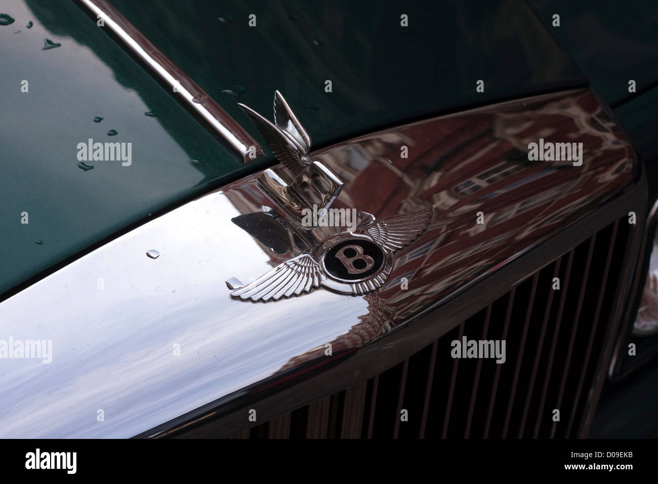 Close-up of a Bentley badge and radiator grill Stock Photo - Alamy
