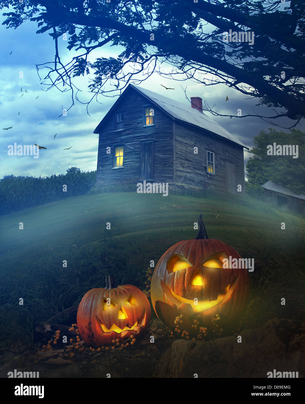 Halloween pumpkins in front of a Spooky house Stock Photo