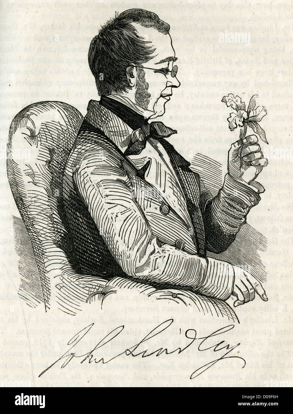 1856 engraving, Dr. John Lindley Stock Photo Alamy