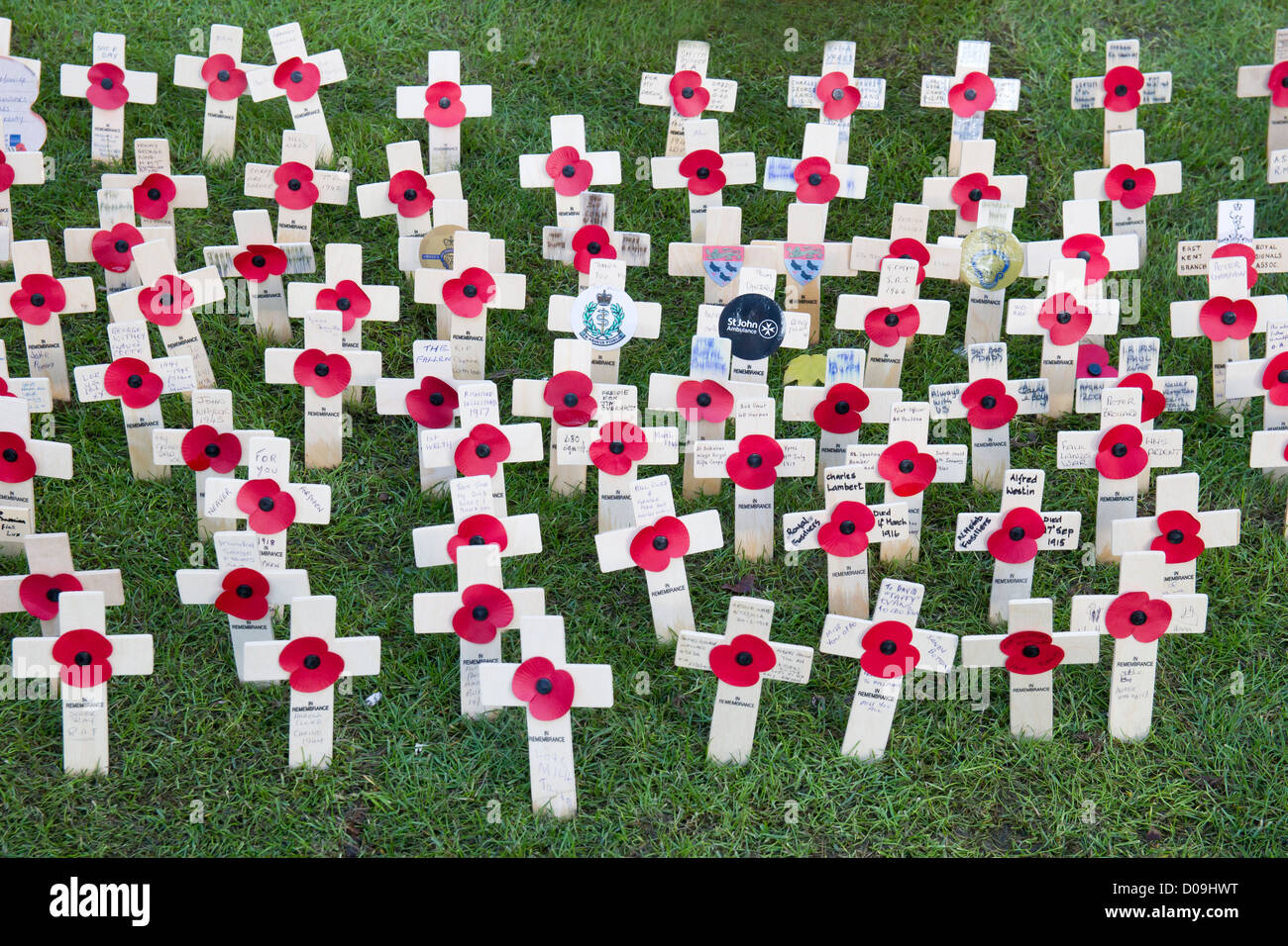 Remembrance Day Crosses and Poppies Stock Photo