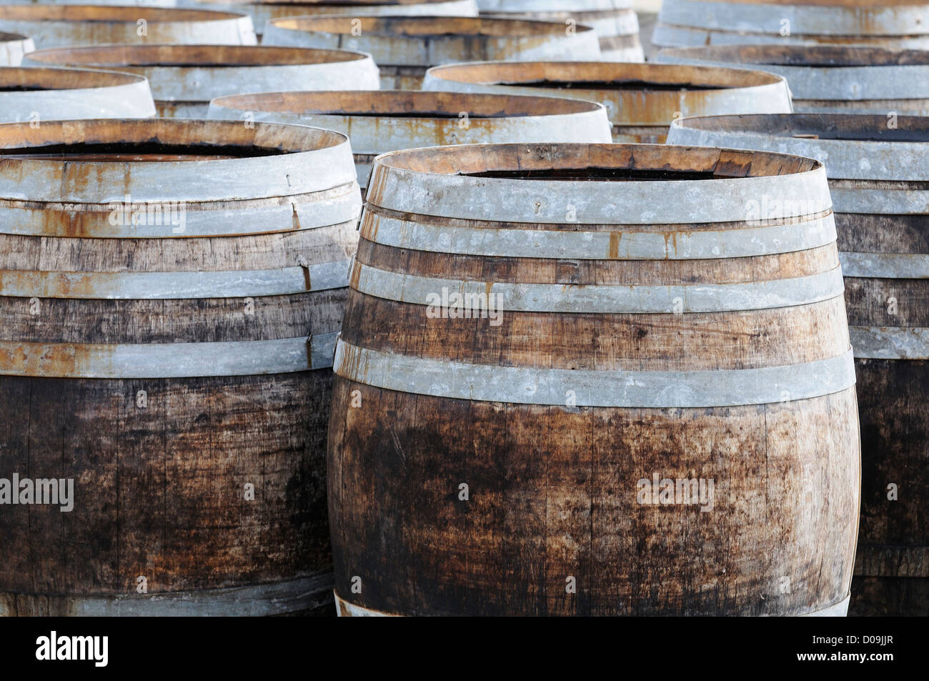 Oak barrels for making great wines of Burgundy Stock Photo Alamy