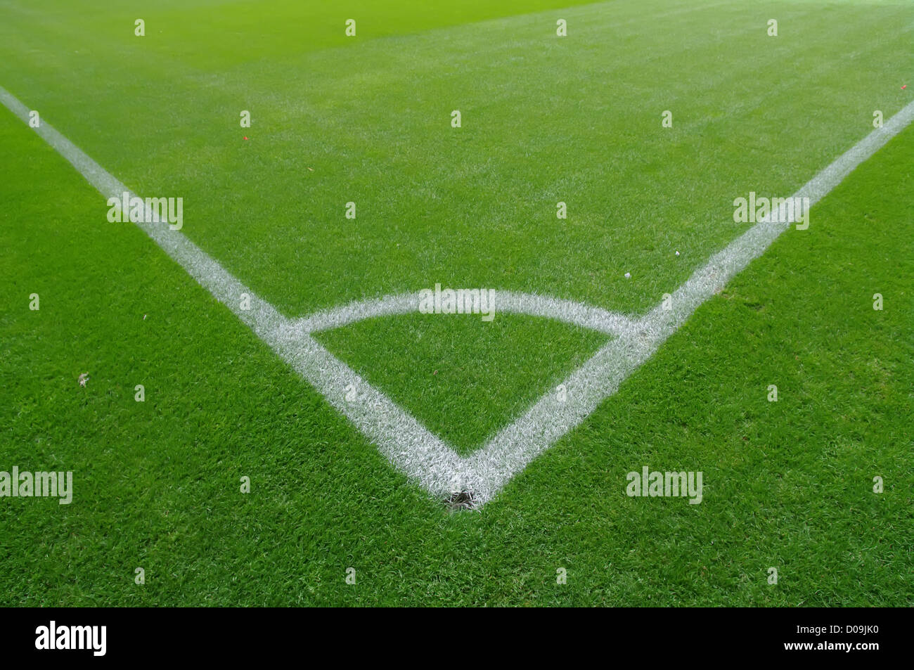 soccer field closeups of markings of the field Stock Photo Alamy