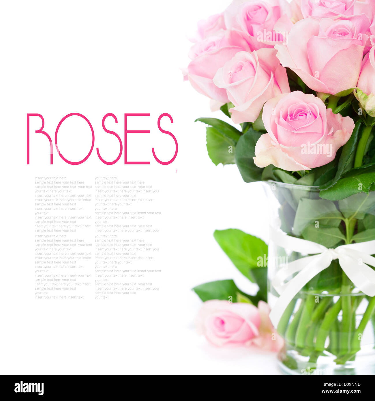 bouquet of pink roses in vase on the white background Stock Photo - Alamy