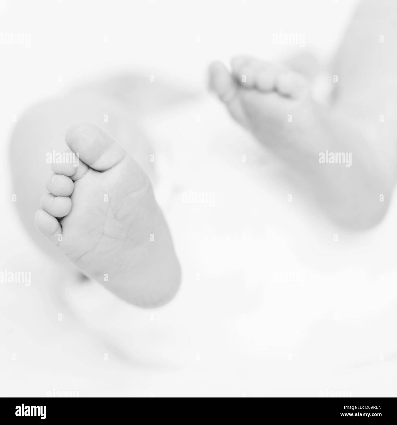 foot of newborn baby as close up Stock Photo Alamy