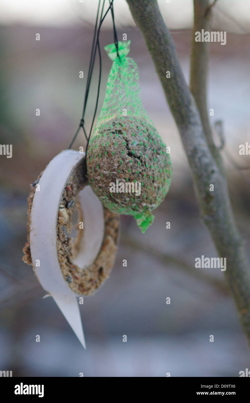 bird seed outside to feed birds in winter Stock Photo Alamy