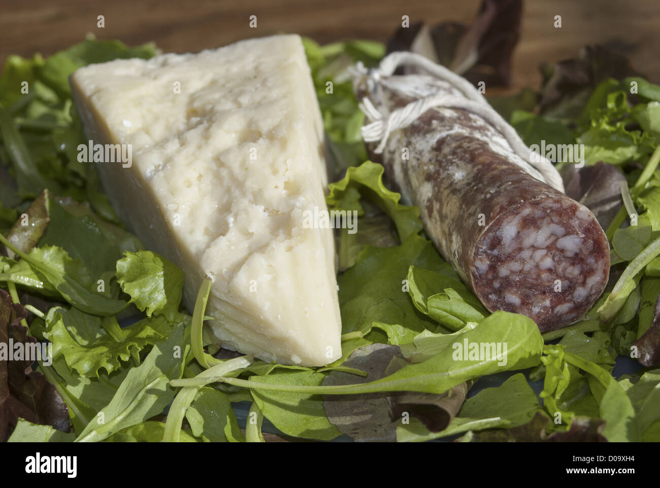 composition of italian salami and pecorino Stock Photo