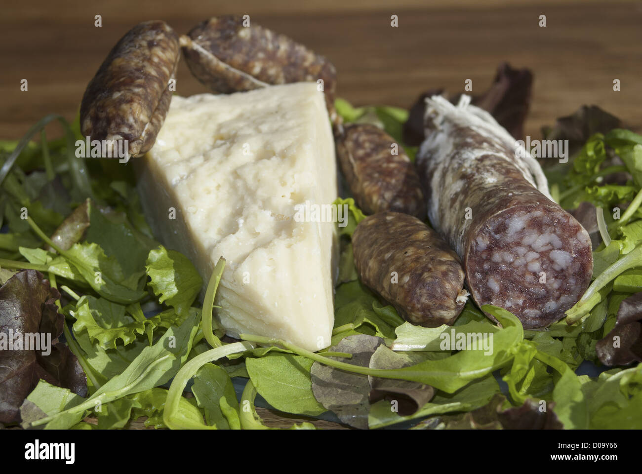composition of italian salami and pecorino Stock Photo