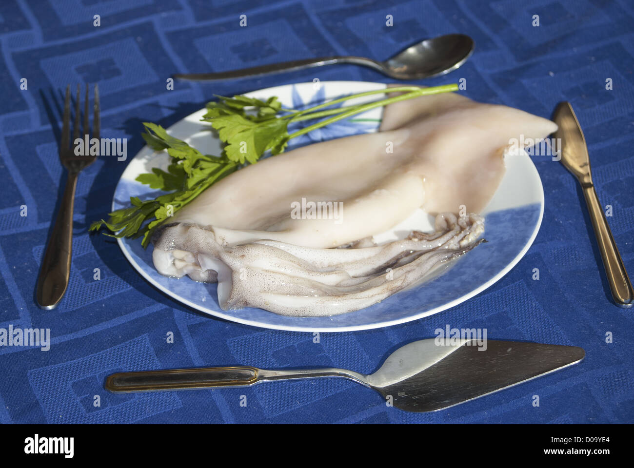 a raw squid in a laid table of a restaurant Stock Photo