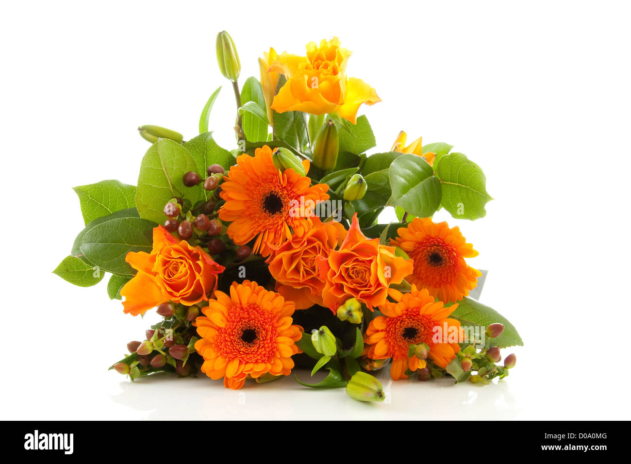 Bouquet of orange flowers over white background Stock Photo Alamy