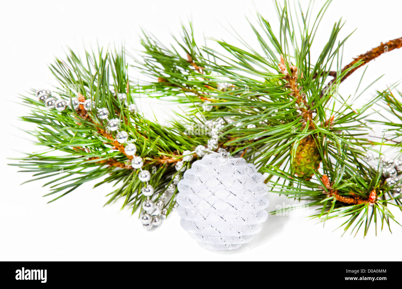 New Year composition with fir tree branch and white ball isolated on ...