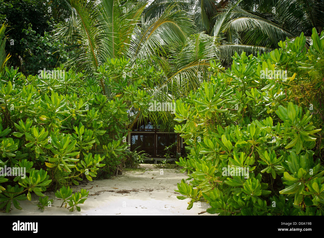 the sandy path to one of the Bungalow in Aloita Island, Mentawai, West Sumatra, Indonesia Stock Photo