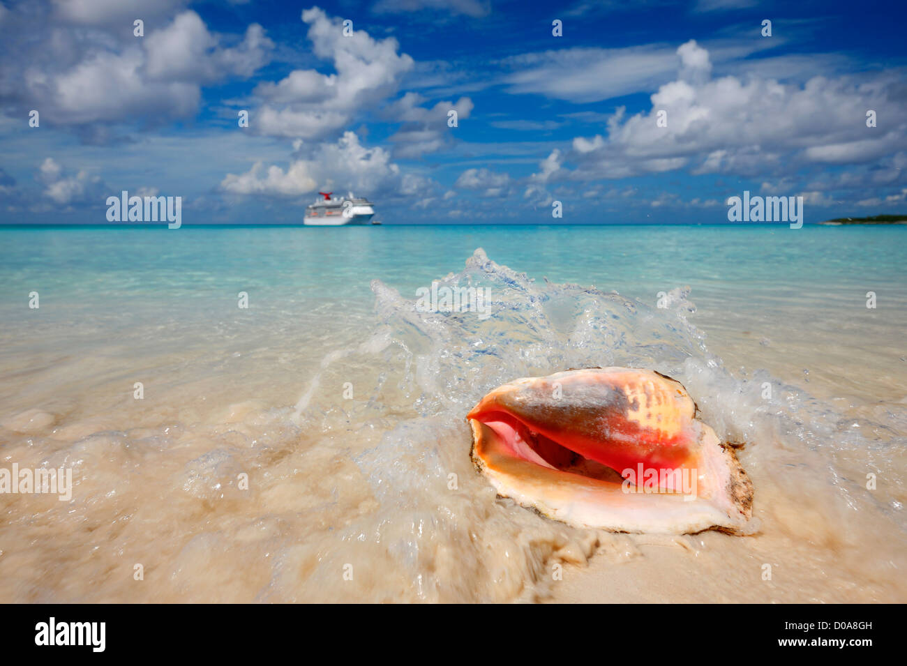 Sea water splash shell on the beach, cruise ship on the back Stock Photo