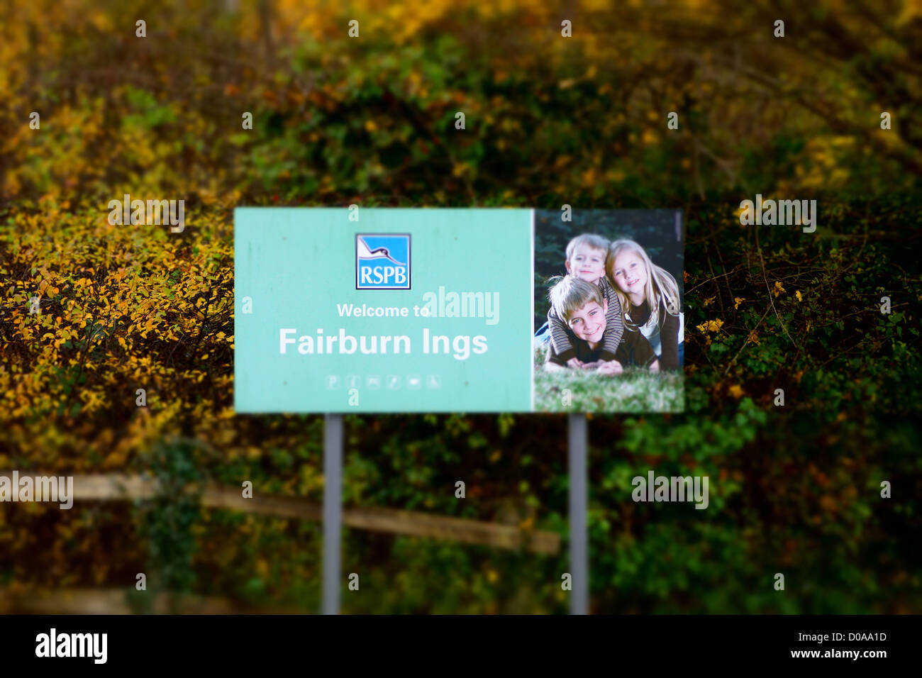 RSPB Fairburn Ings Stock Photo