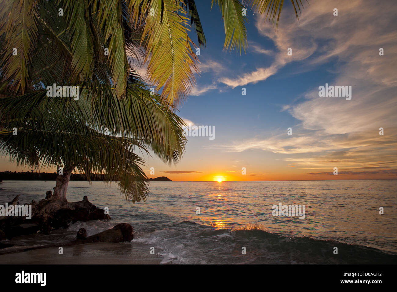 panorama view taken from a beautiful beach in a deserted island in the Mentawai with palm leafs at sunset. Stock Photo