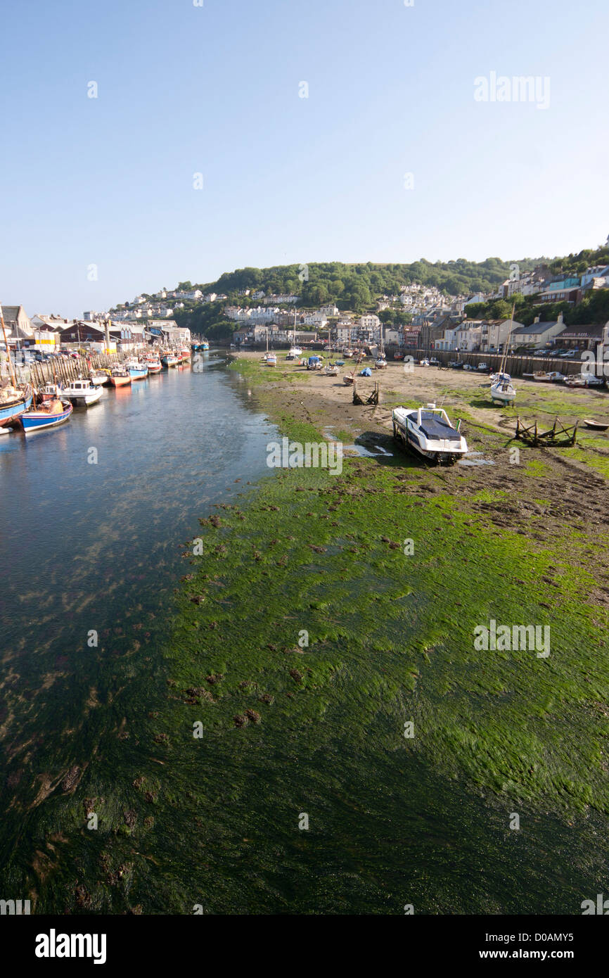 Overlooking a Cornish River Stock Photo Alamy
