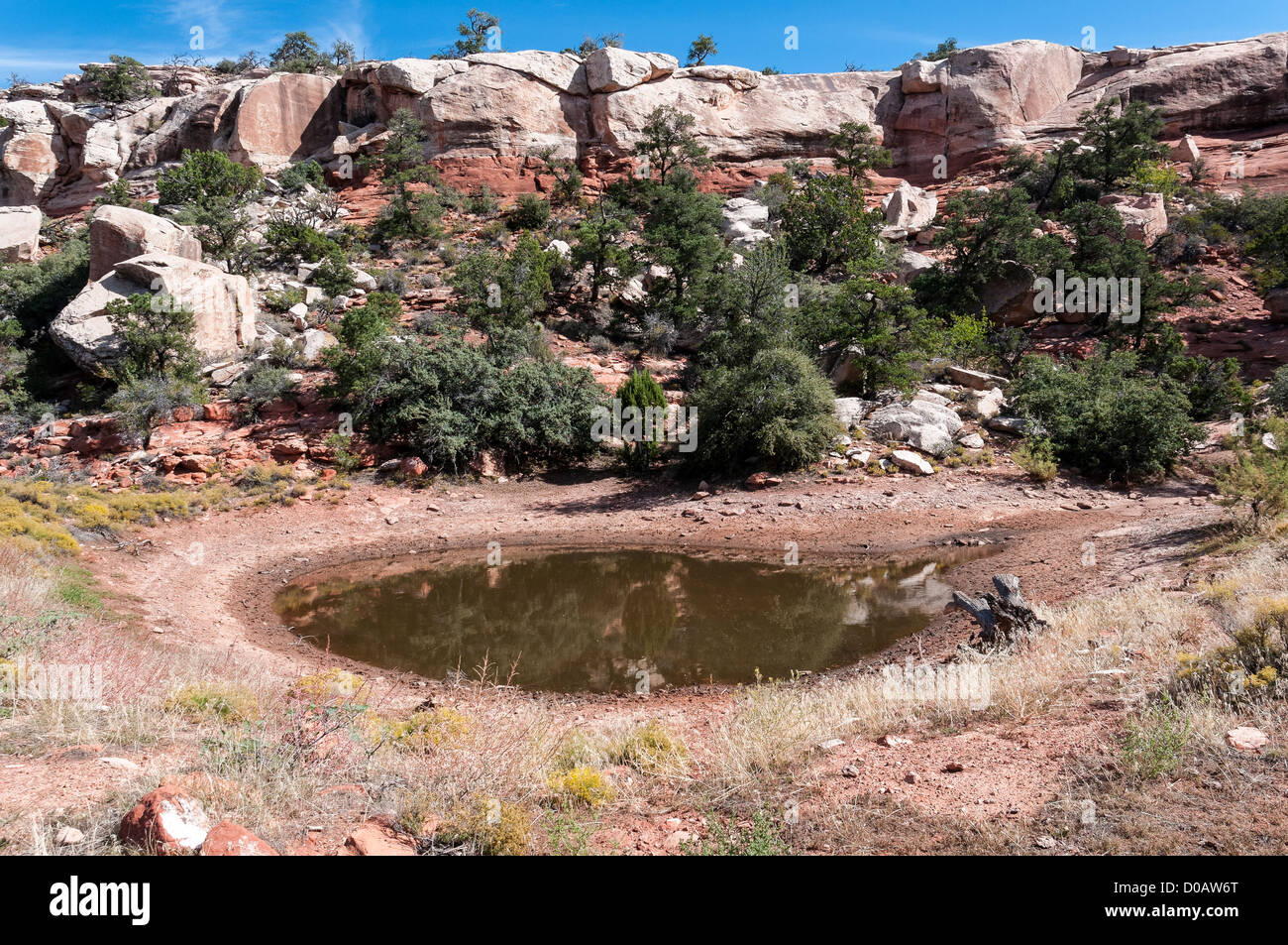 Cattle pond, Grand Wash Cliffs Trail, Grand Wash Cliffs Wilderness Area