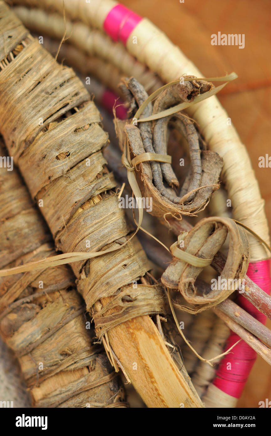 SOUAK OR SWAK BARK FROM THE WALNUT TREE WITH WHITENING AND ANTISEPTIC PROPERTIES USED AS A TOOTHPASTE M'HAMID MOROCCO AFRICA Stock Photo