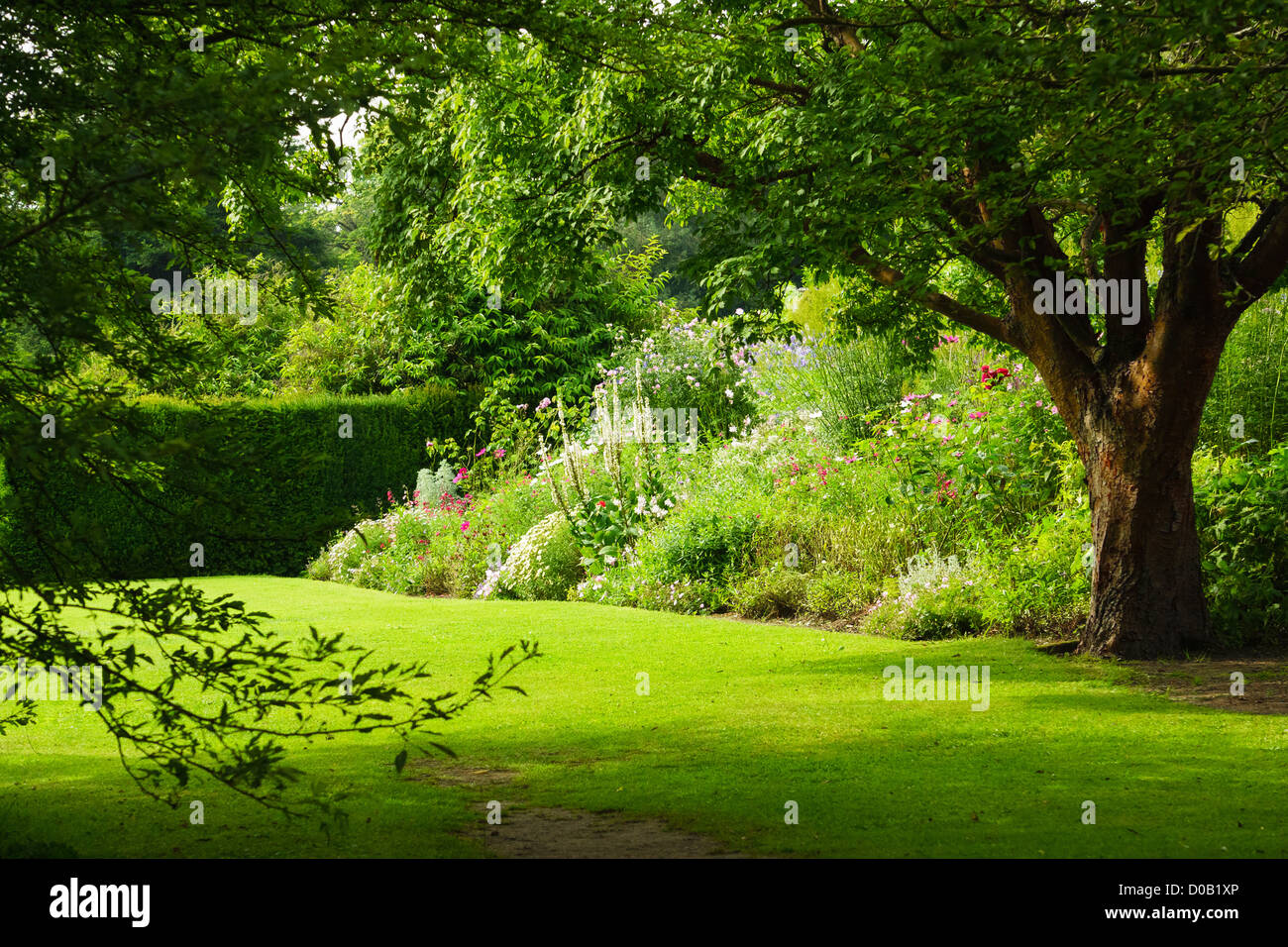 Mature woodland gardens at Howick Gardens in Northumberland. Stock Photo