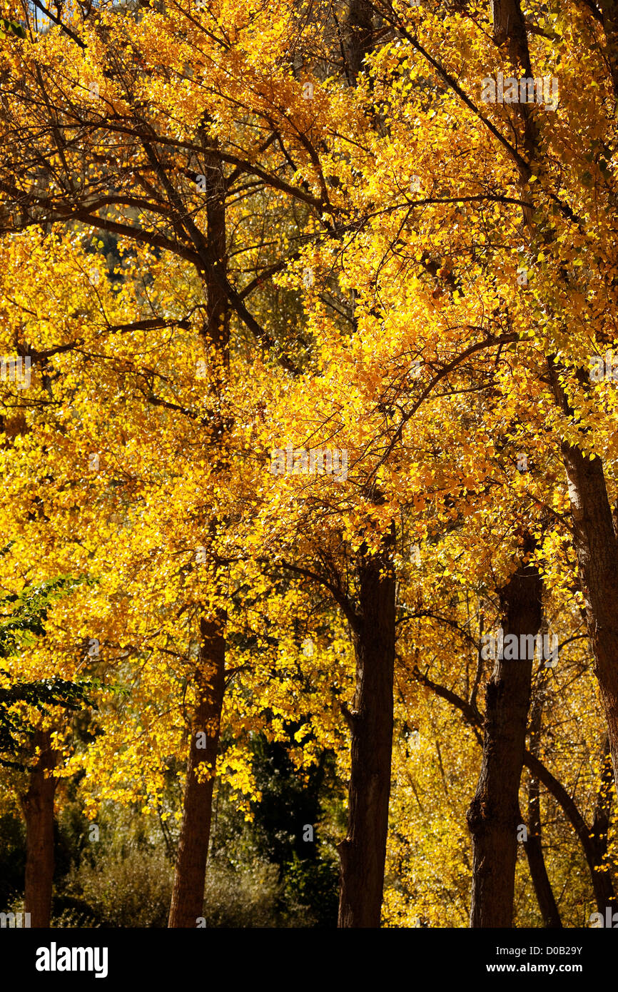 Autumn landscape Cantabria Spain Stock Photo