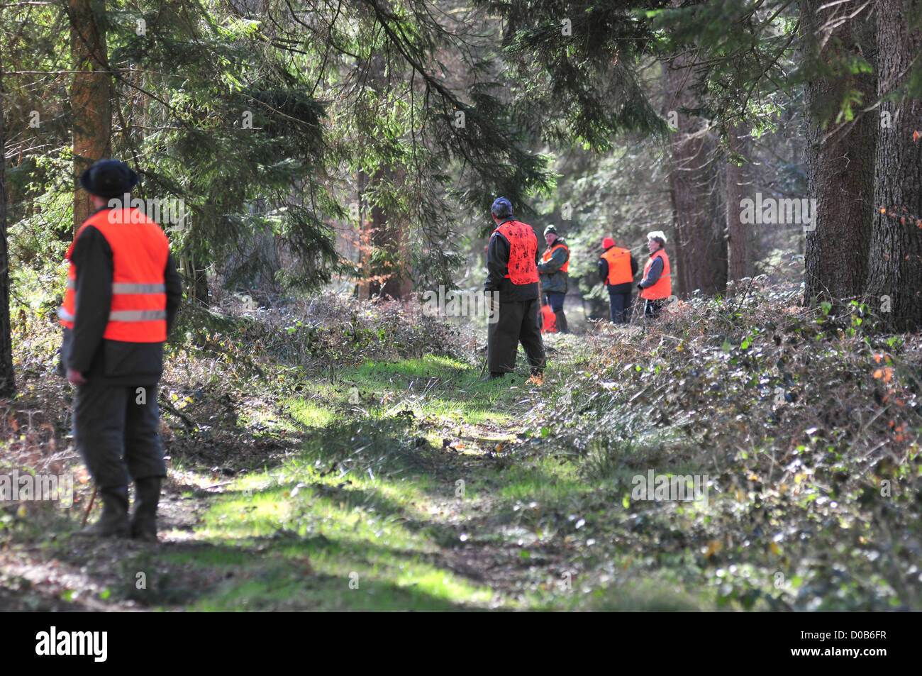 HUNTING IN THE WOODS SOMME (80) FRANCE Stock Photo